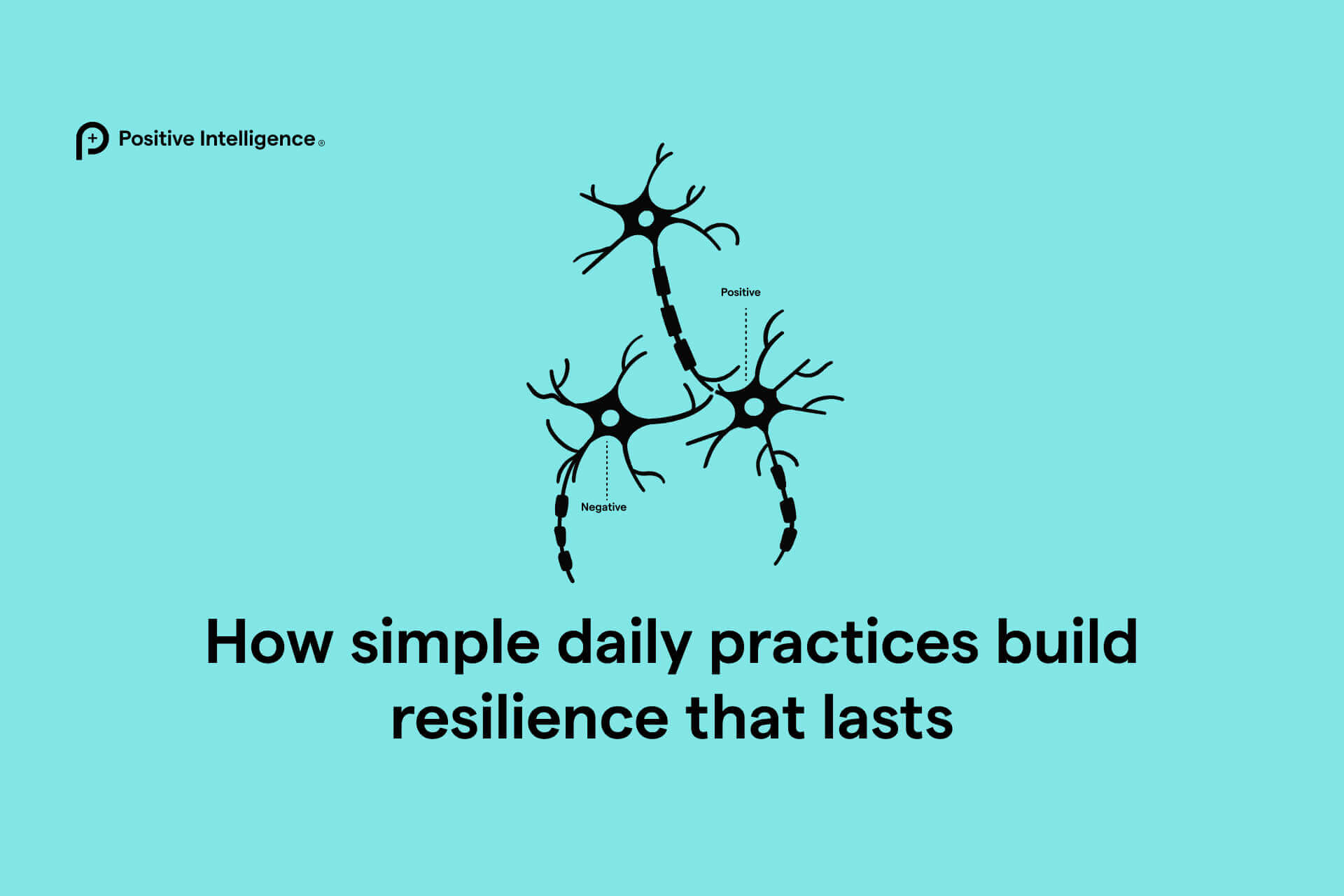 How simple daily practices build resilience that lasts
